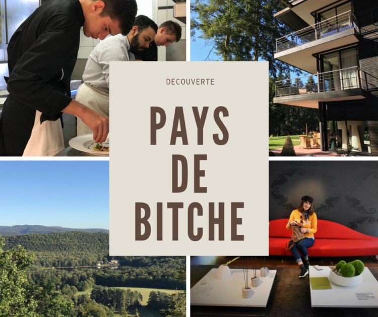 Pays de Bitche